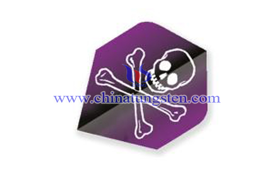 鏢翼圖片 鏢翼圖片